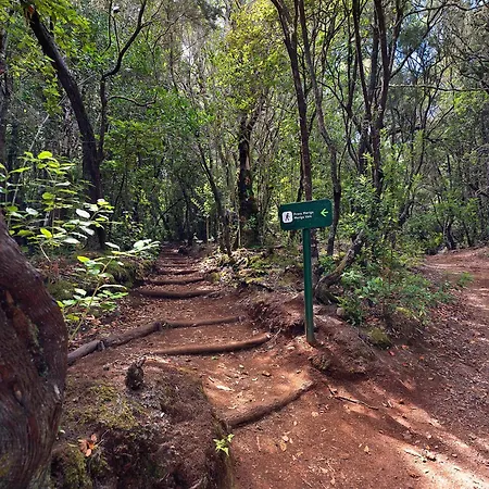 Medina 1 Agulo